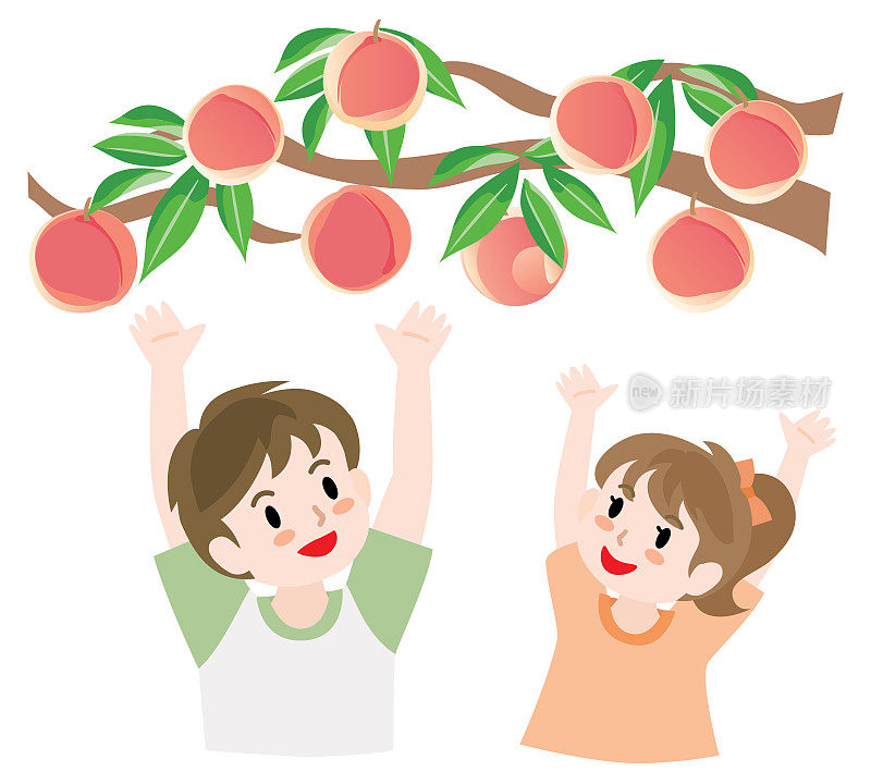 孩子们在摘桃子。