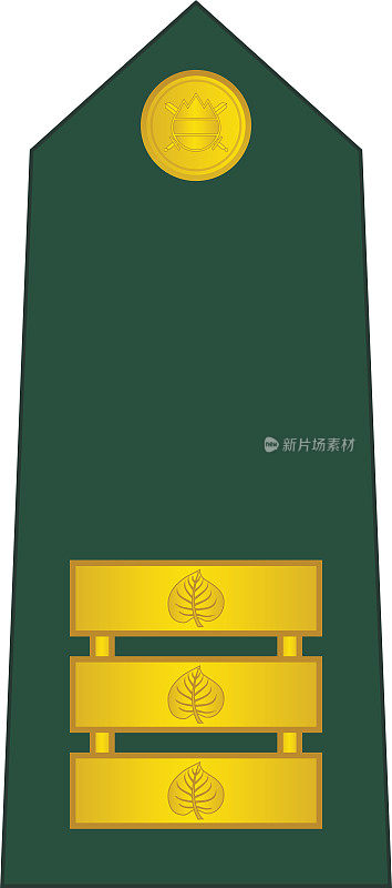 肩垫北约军官徽章的斯洛文尼亚高级中尉