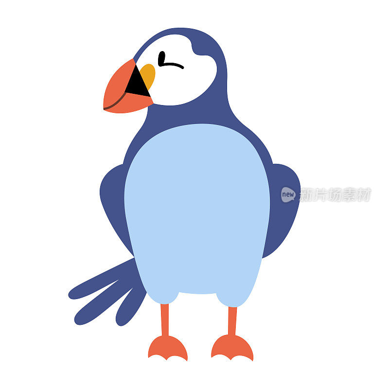 可爱的海雀鸟，大西洋海雀插图，可爱的海鸟，平坦的矢量插图