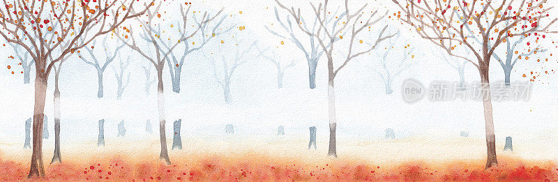 秋季自然景观雾中的树木