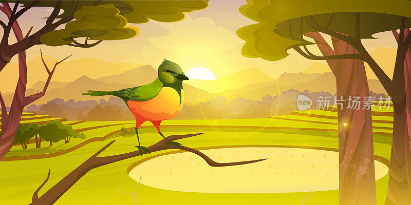 日出在森林与绿色的鸟在分支向量