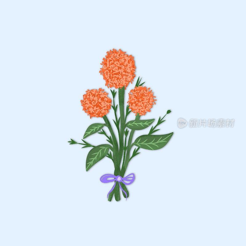 一束橙色花朵的简单插图。简单,审美。适合印刷或出版，或模板报价。