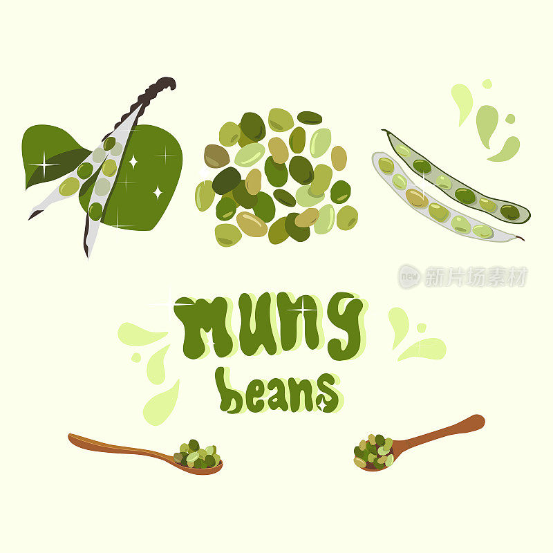 以新鲜绿豆和嫩芽为例。勺子里有绿色的克。豆荚和种子。有机豆类产品。