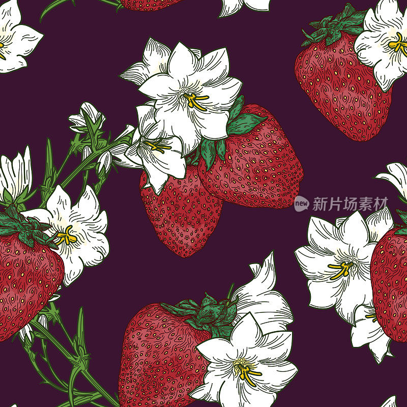 夏季草莓和铁线莲无缝花图案