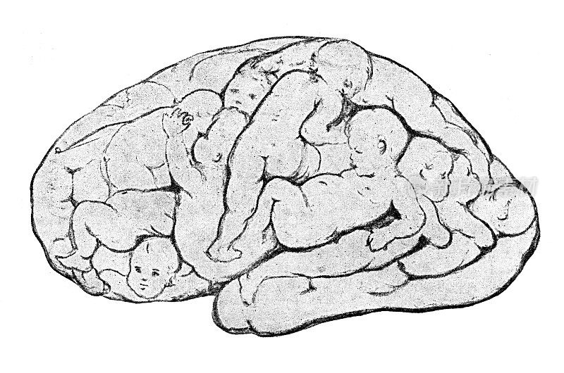 人类的大脑由小孩组成，新艺术，1897年