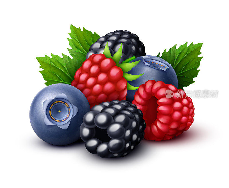 覆盆子，黑莓，蓝莓甜莓混合