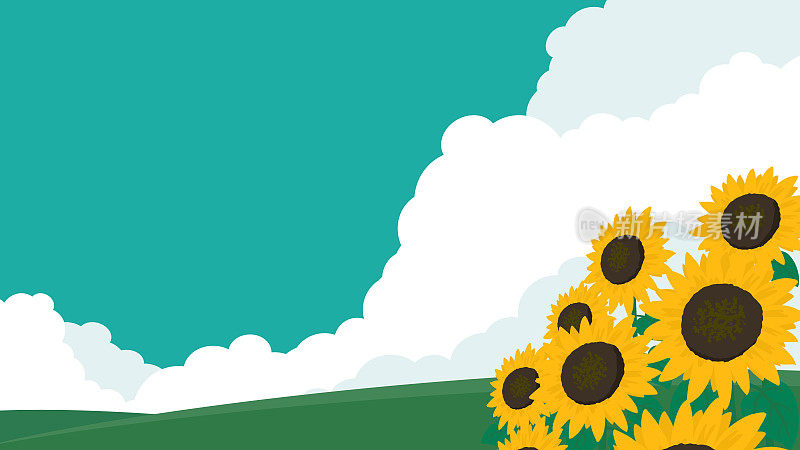 夏季广告背景模板与云蔓延蓝天和向日葵