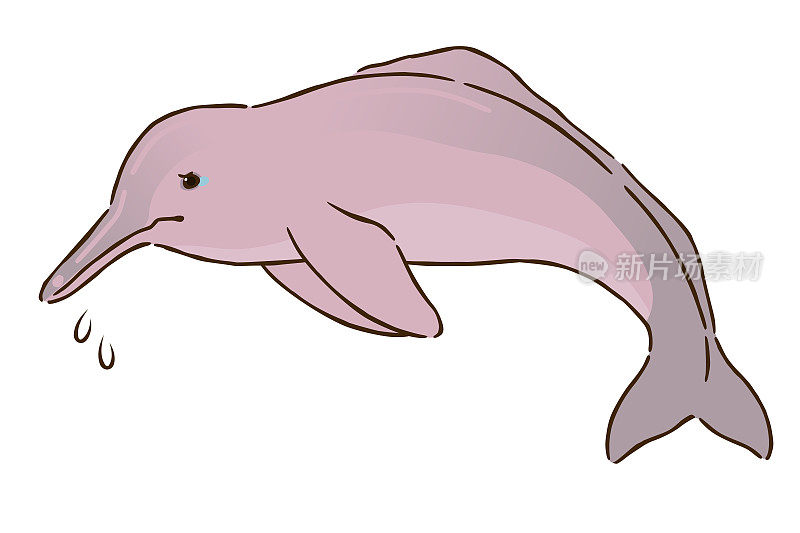 悲伤的亚马逊河海豚