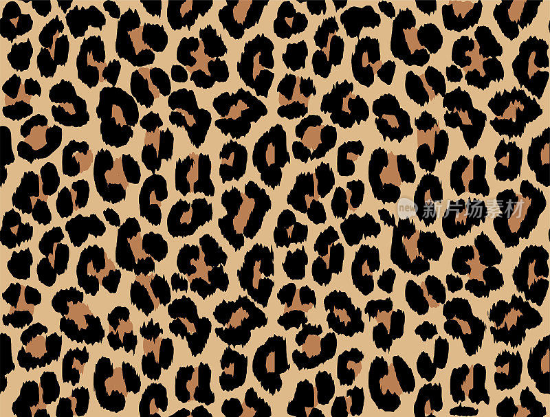 豹子斑点，野猫皮毛图案。动物图案设计。