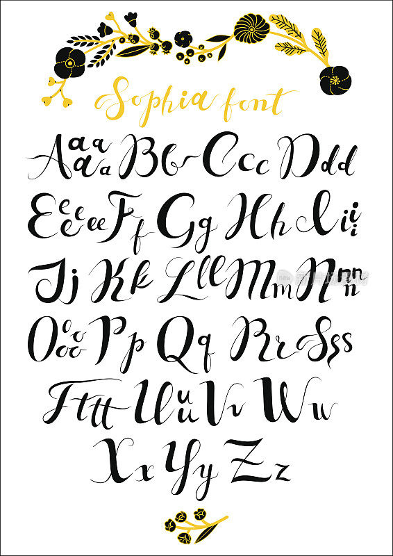 索菲娅的书法字体