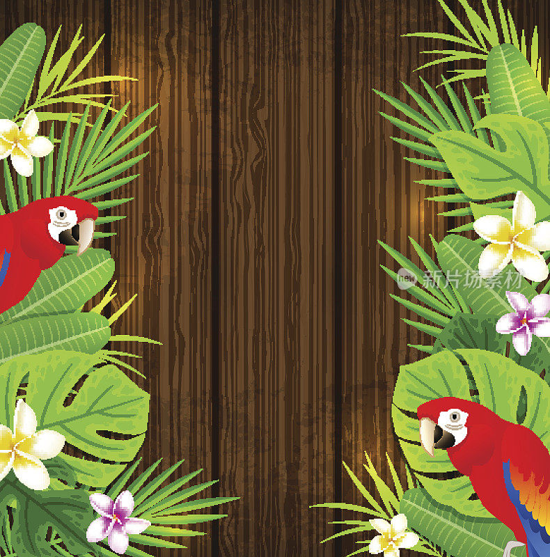 绿色的热带树叶和红色的鹦鹉