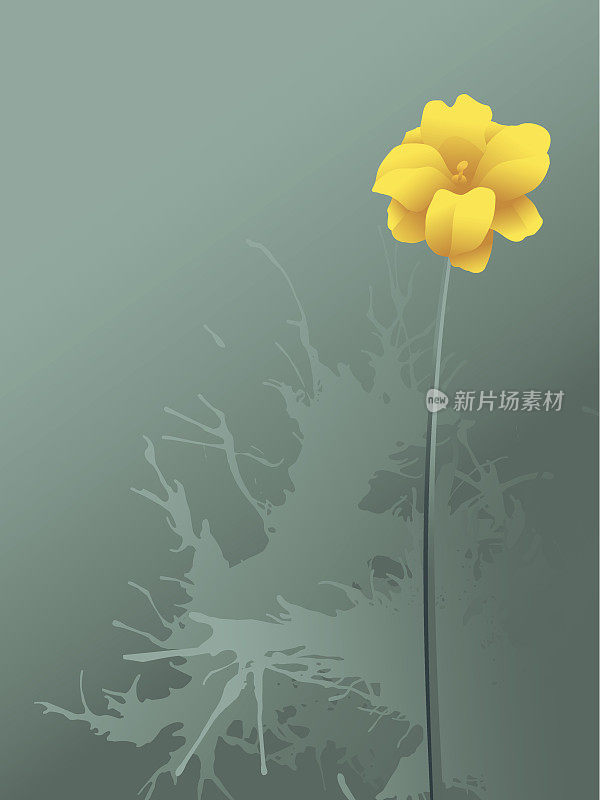 一个黄色的花