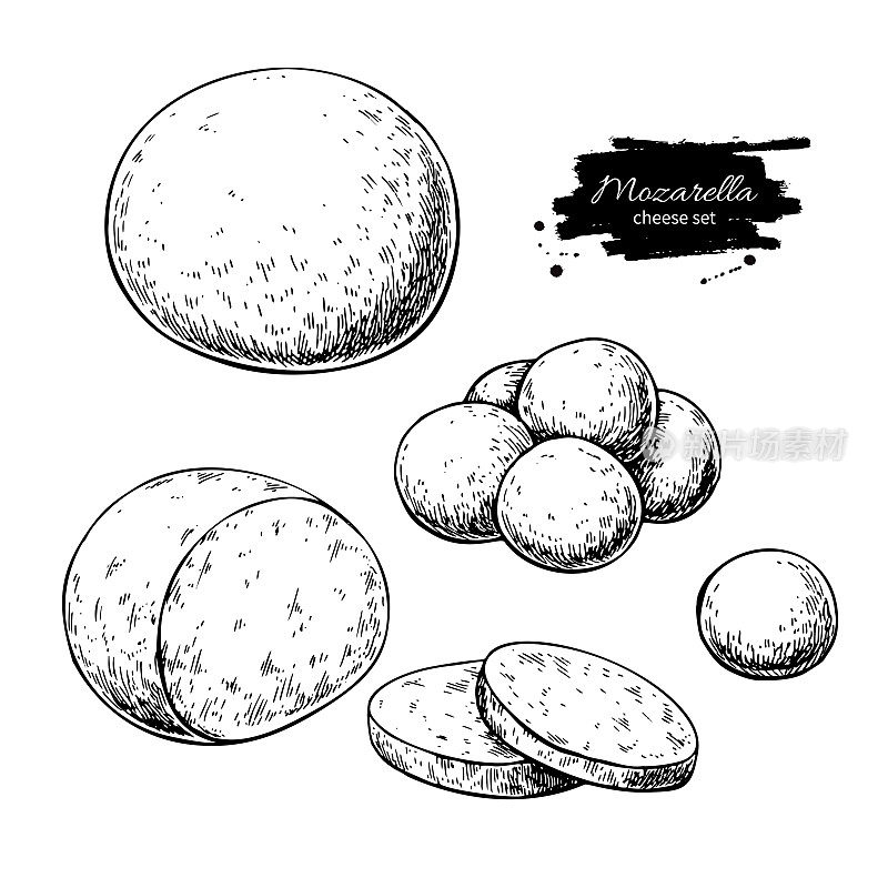 马苏里拉奶酪矢量图。手工绘制的圆块与婴儿马苏里拉奶酪
