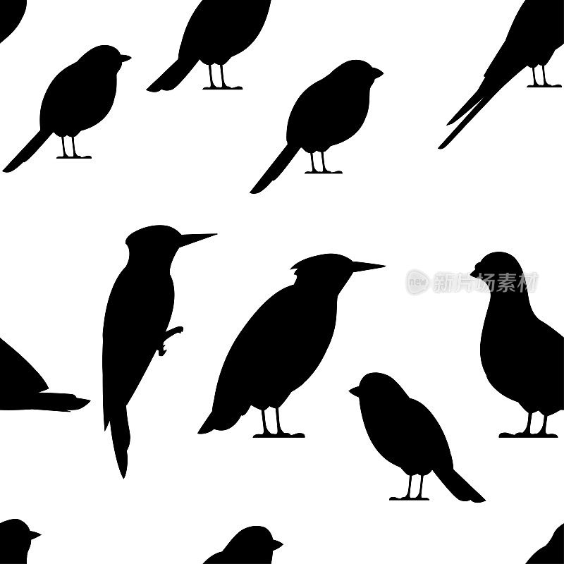 无缝模式。鸟黑色剪影。鸽子，麻雀，山雀，燕子，啄木鸟，椋鸟，红腹灰雀。平鸟图标。矢量插图上的白色背景