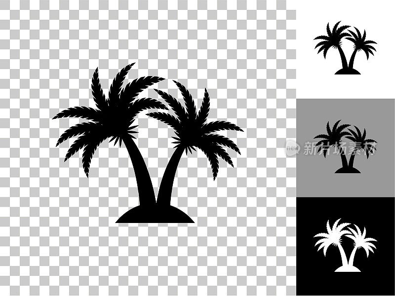热带棕榈树图标在棋盘透明的背景