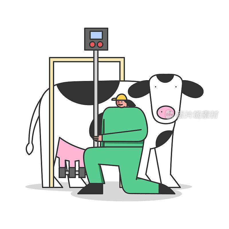 乳品生产的概念。统一的妇女连接挤奶机和奶牛，控制挤奶过程和质量在牛奶厂或工厂。卡通线性轮廓平面矢量插图