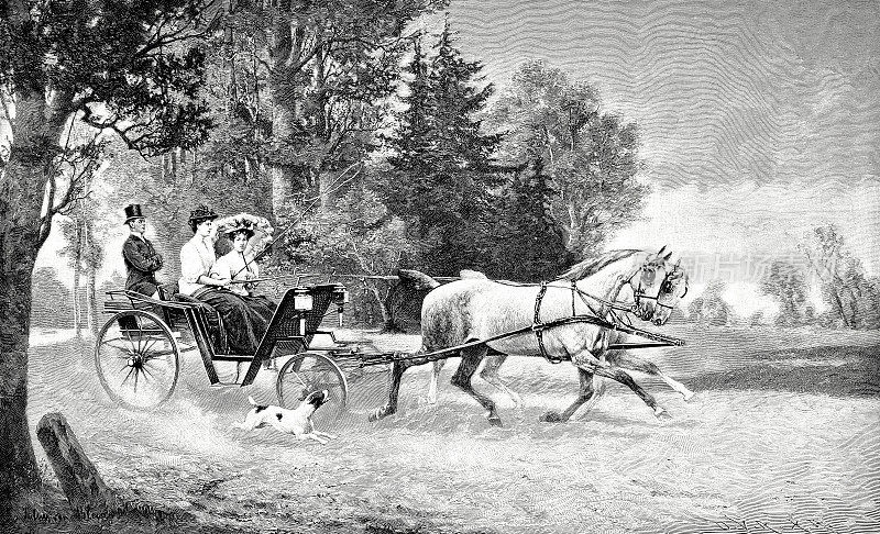 马车上，两个女人赶着一个男人