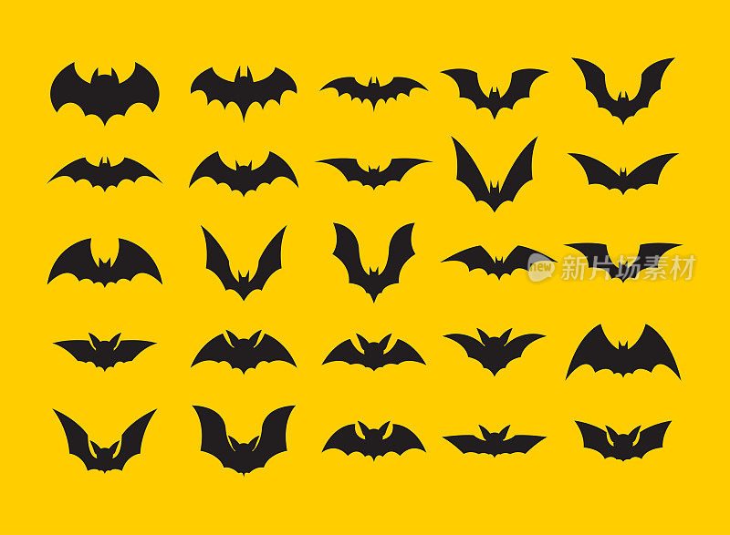 蝙蝠的剪影。快乐Halloween.Bat图标