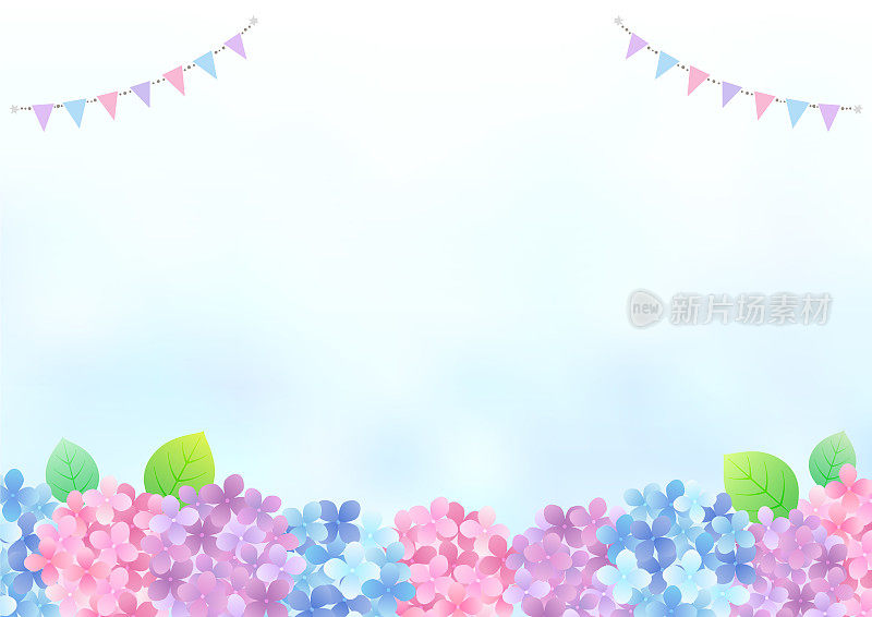 雨季绣球花，背景框架剪贴画
