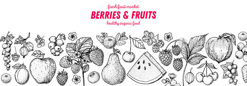 浆果和水果绘画收集。素描风格。手绘矢量插图。食品设计模板与浆果和水果包装和更多。有机健康食品。
