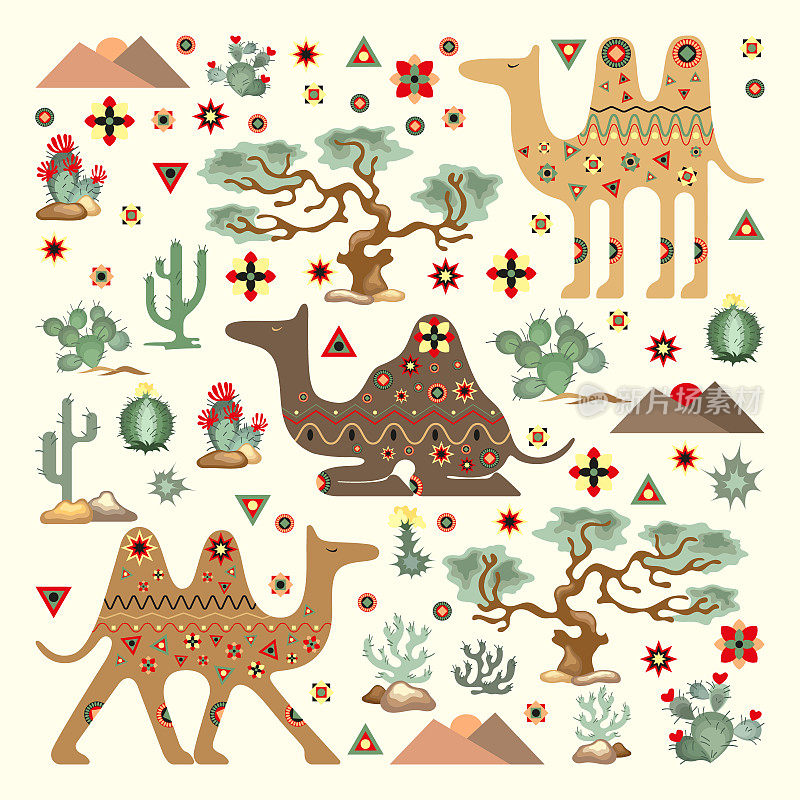 收集东方风格的骆驼和沙漠植物的图像
