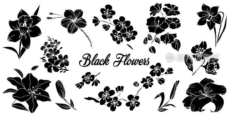 Black-flowers-set