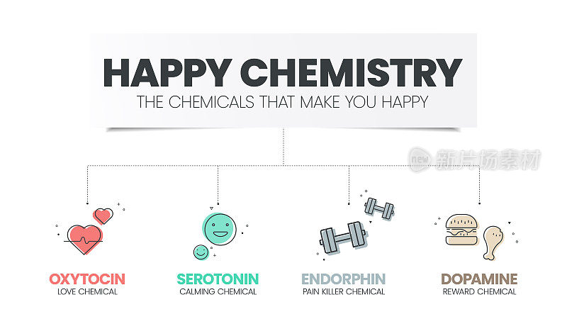 快乐化学信息图有4种化学激素，如催产素(爱)，血清素(镇静)，多巴胺(奖励)和内啡肽(止痛药)。快乐的化学物质的概念。Presentatation幻灯片。