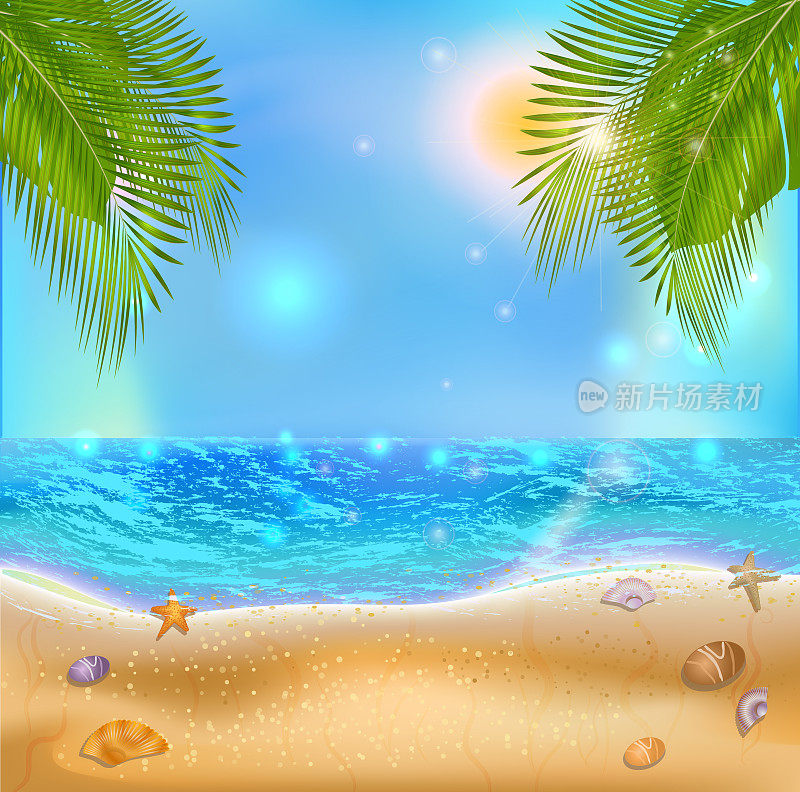 海边的风景。夏日阳光明媚的热带海滩，棕榈叶和贝壳。暑假在异国度假胜地。设计模板销售横幅，海报，传单，卡片或旅行