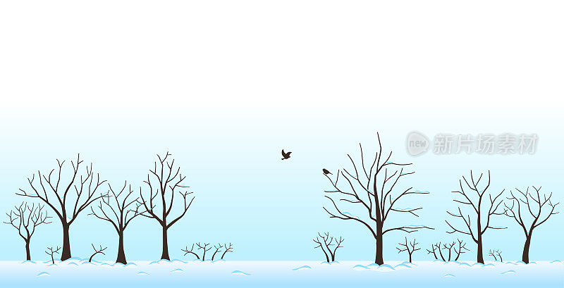 冬天，树木被雪覆盖，鸟儿飞来飞去