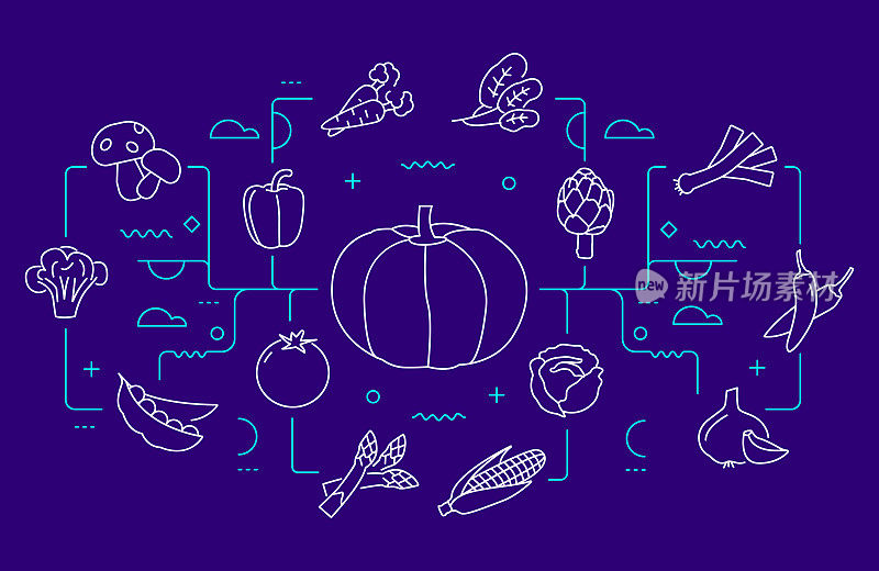 蔬菜相关网横幅线条风格。现代设计矢量图