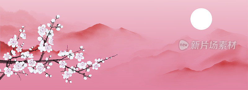 樱花盛开的枝桠和雾蒙蒙的山坡。传统东方水墨画梅花、梅花、梅花。