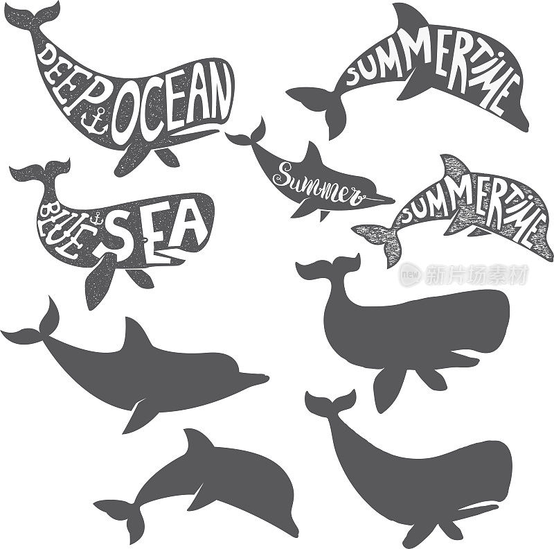 深海。夏季。海豚和鲸鱼的剪影与字母
