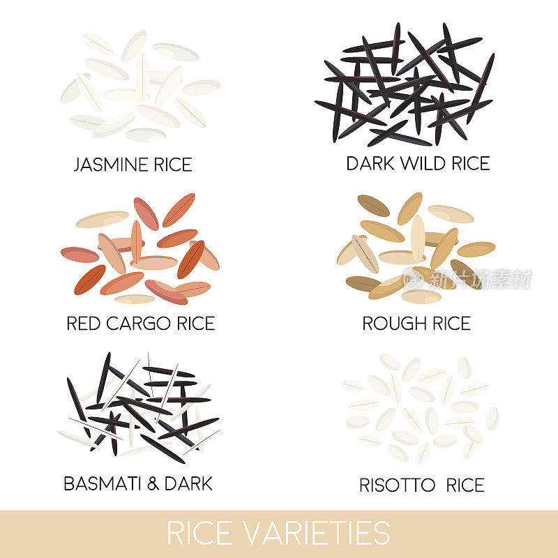 水稻品种。黑菰米，意大利饭，茉莉花米，印度香米，