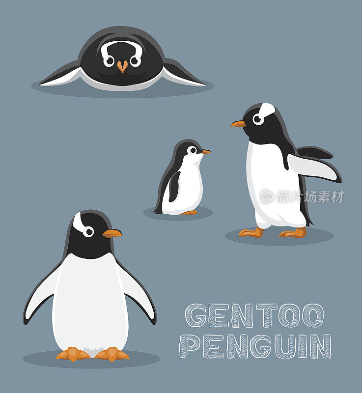 巴布亚企鹅卡通矢量插图