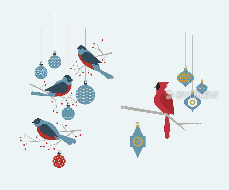 圣诞节的节日小鸟和装饰品