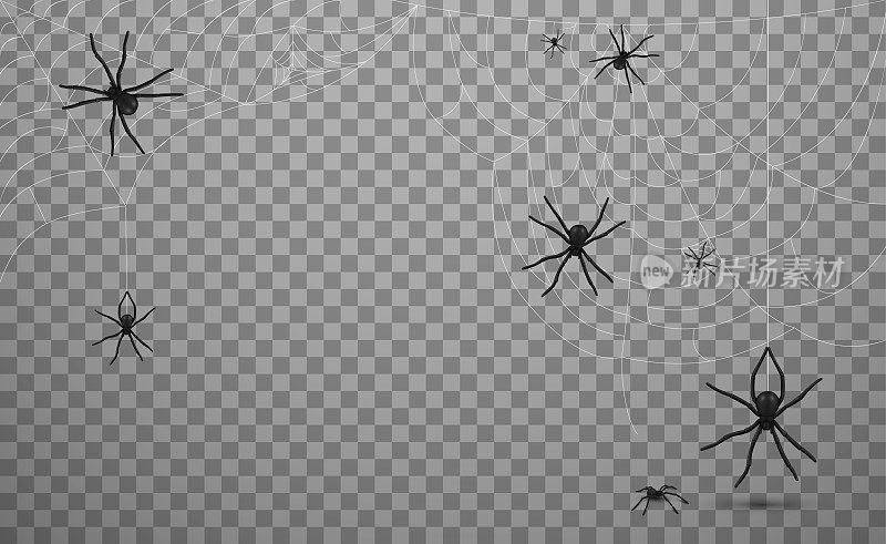 许多黑蜘蛛与网向量现实插图。危险的昆虫挂在网络陷阱