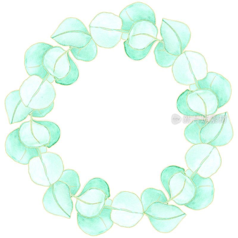 圆形的桉树叶花环，白色的背景，水彩插图