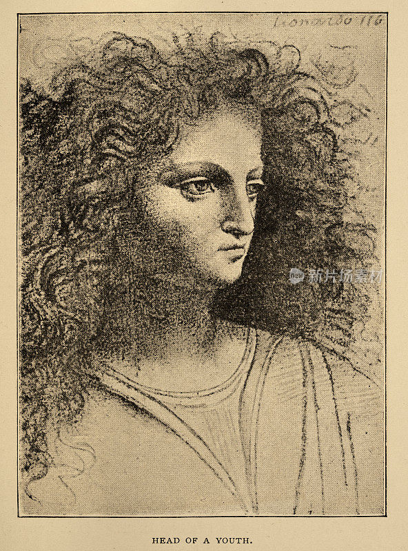复古插画，出自列奥纳多・达・芬奇的素描，青年的头，文艺复兴早期艺术