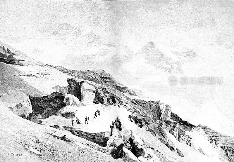 Graubünden阿尔卑斯山，瑞士:摩特拉奇冰川上的堡垒和自由岩羚羊