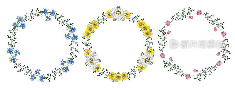 水彩框架，花环与野花，手绘植物风格的节日和婚礼卡片。红色，黄色和蓝色的花朵框架孤立在白色背景的剪纸。鲜花和绿色植物的芬芳