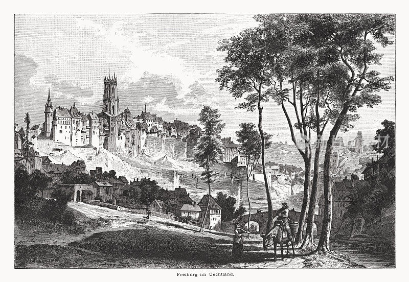 弗里堡的历史观，瑞士，木版画，出版于1877年