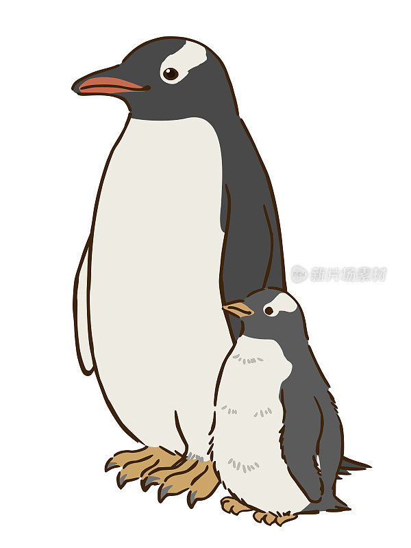 巴布亚企鹅科