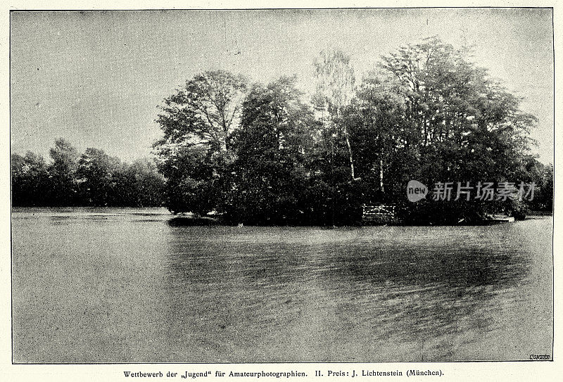 照片，湖中岛屿上的树木，德国1890年代，19世纪摄影
