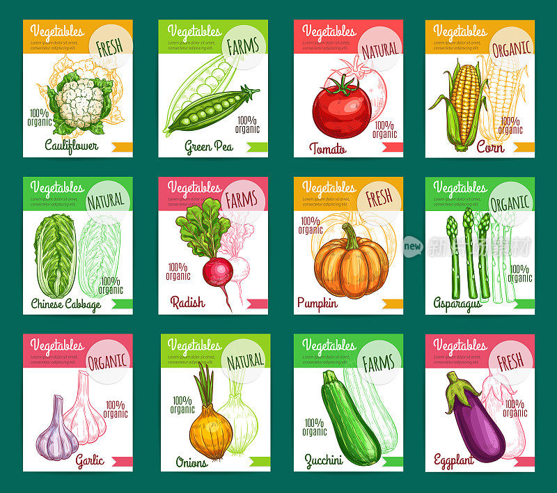 矢量素描fam蔬菜或蔬菜海报