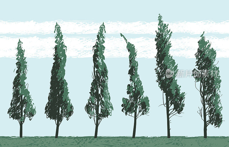 无缝景观与树木在蓝天的背景