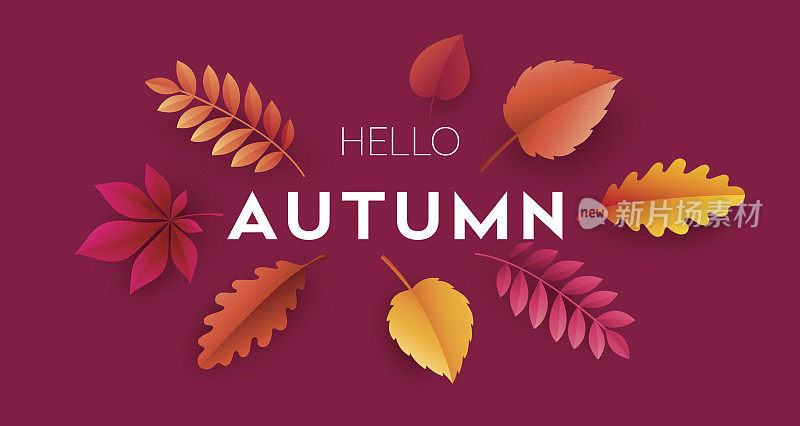 时尚的现代秋季背景与明亮的秋季树叶设计海报，传单，横幅。向量树脂