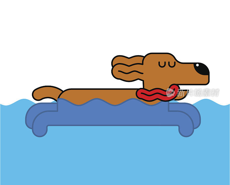 狗游泳孤立。家中宠物在水里。矢量图