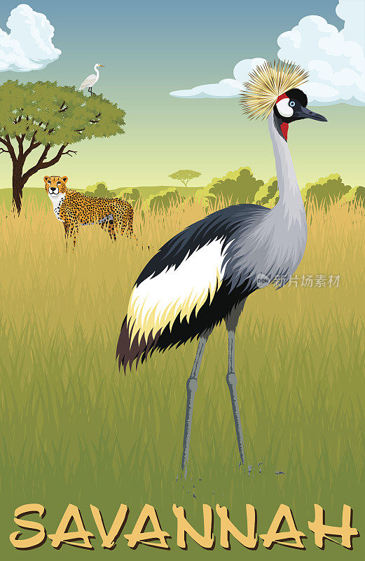 非洲大草原与皇冠鹤，苍鹭和猎豹-矢量插图
