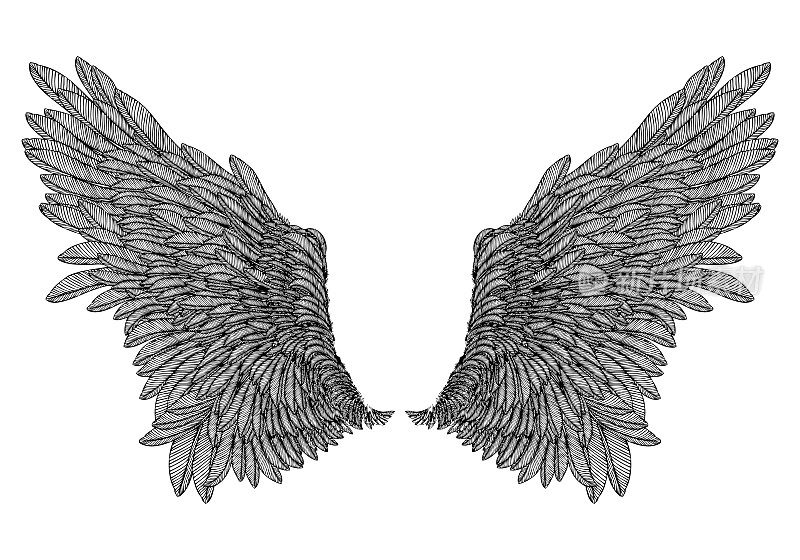 手绘复古翅膀对。蚀刻木刻复古风格一对翅膀。素描向量。