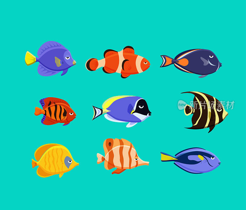 可爱的鱼矢量插图图标集。热带鱼、海鱼、观赏鱼